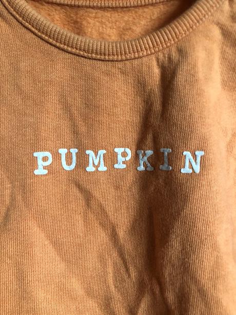 Rezavá mikina s nápisem, 86