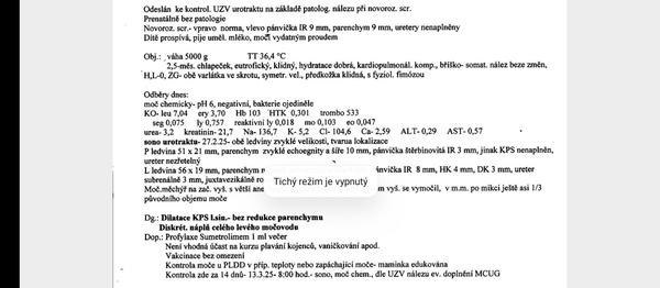 Ledvinová pánvička. Máte zkušenosti s léčbou bez zbytečných antibiotik?