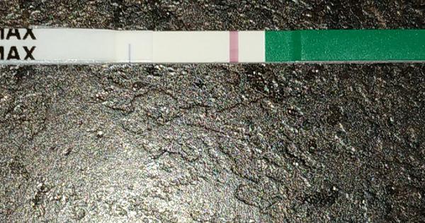 Těhotenský test Pepino. Je pozitivní?