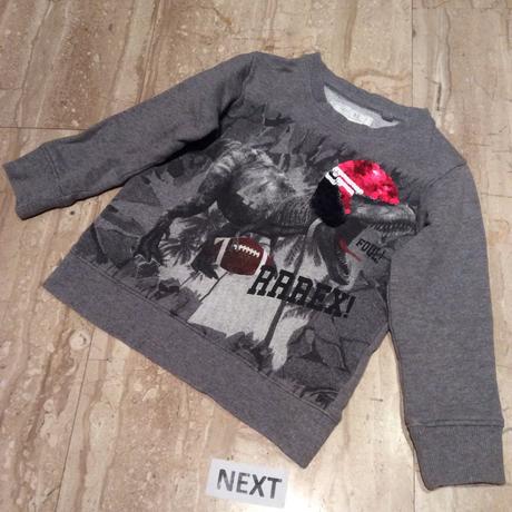 Mikina s dinosaurem zn. next, next,98