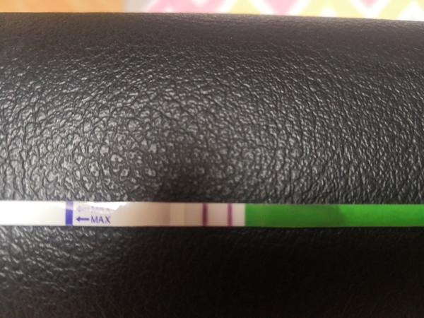 Pozitivní ovulační test - kdy naplánovat sex?