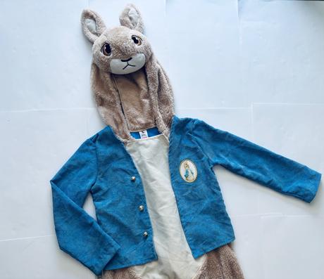 An2/ kostým králíček petr - v.5/6 let, 