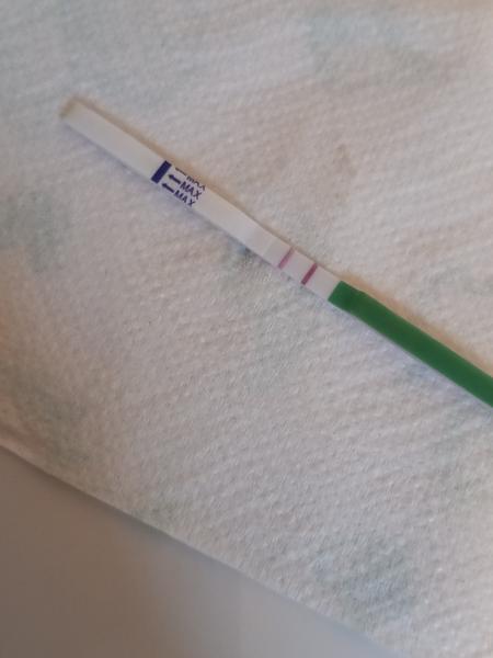 Možná ovulace dvakrát za měsíc. Jak je to možné?