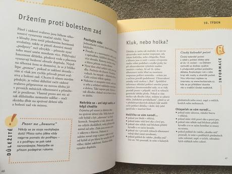 Těhotenský kalendář, 