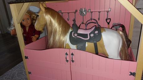 Kůň, stáj, přívěs a jezdkyně, 