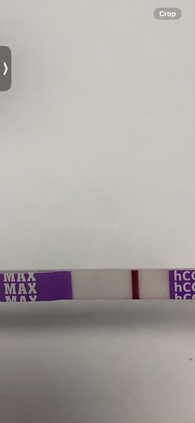 Může menstruace ovlivnit výsledek těhotenského testu?