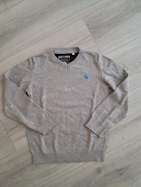 Svetřík, palomino,122