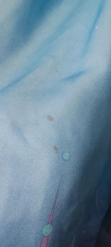 Elsa ledové království,