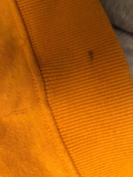 Hořčicová mikina s dinem, 110