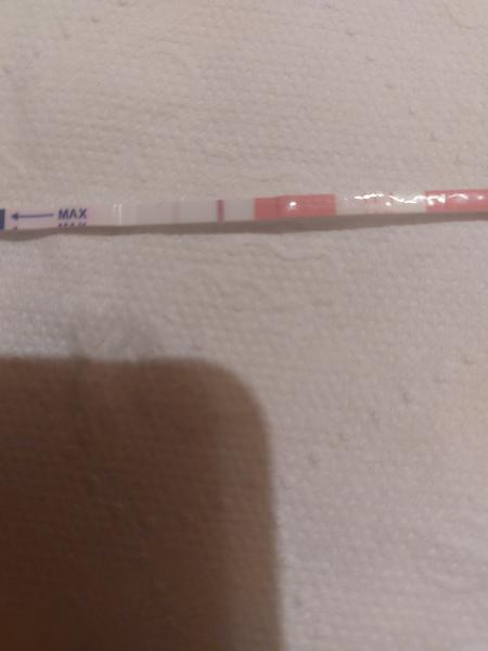 Pozitivní těhotenské testy, ale digitální negativní. Co to znamená?