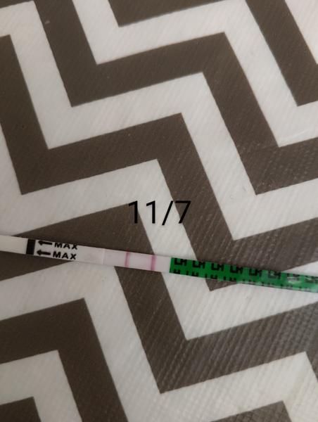 Je možné mít několikrát pozitivní ovulační test?