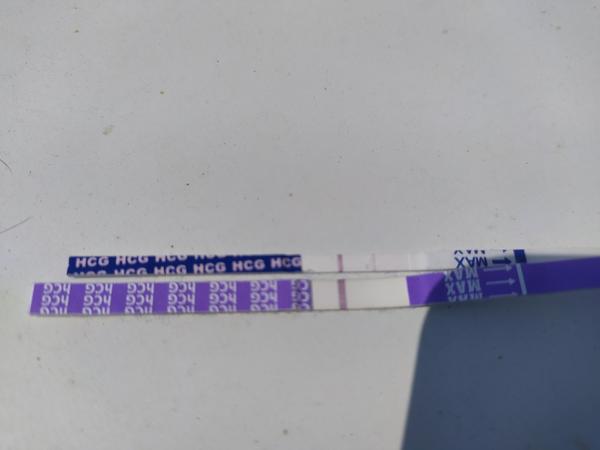 Výsledek těhotenských testů den před menstruací?