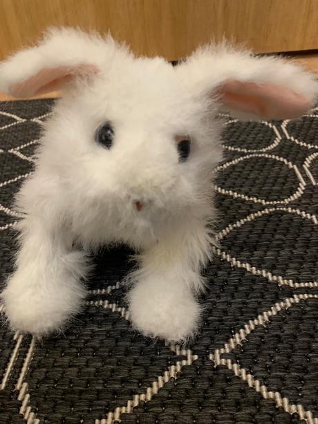 Sada plyšových domácich zvířátek,