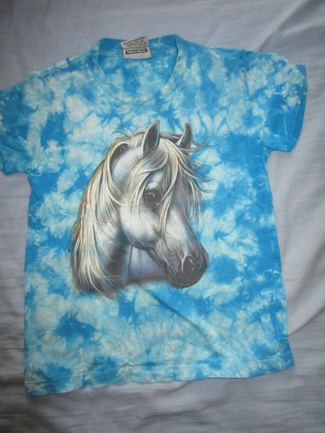 Tričko s koněm, 110