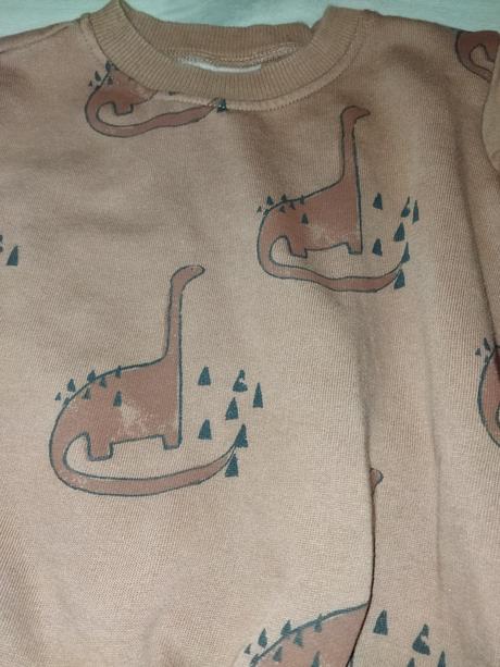 Hnědá mikina s dinosaury 110 next, next,110