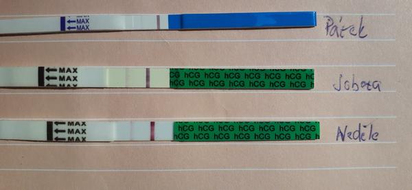 Pozitivní test - duch a bolesti v podbřišku