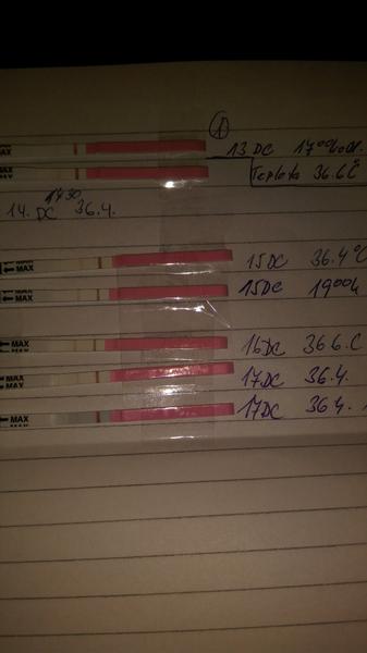 Kdy proběhla ovulace?