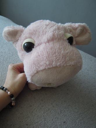 Plyšák prasátko,