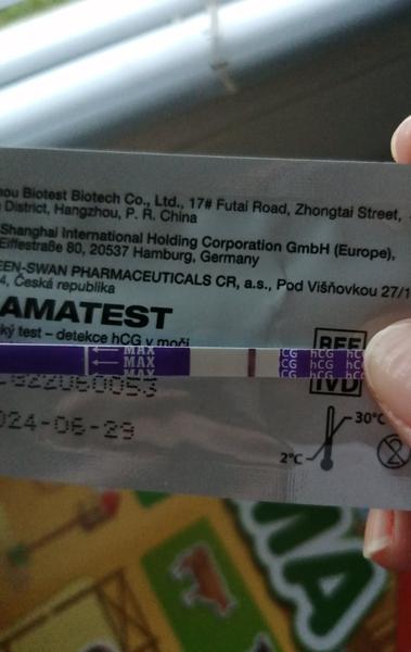 Má se mi něco rýsovat na těhotenském testu?