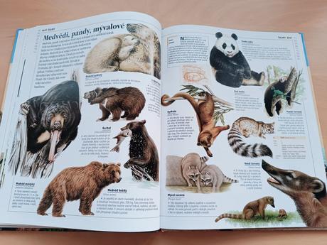Dětská obrazová encyklopedie - zvířata, 
