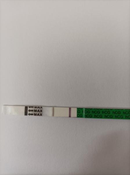 Vidíte pozitivní výsledek těhotenského testu jedenáct dní po ovulaci?