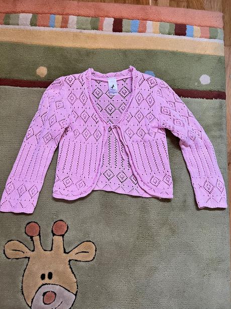 Svetřík, palomino,122