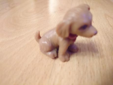 Pejsek k panence barbie,