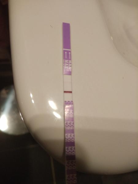 Světlá čárka na testu