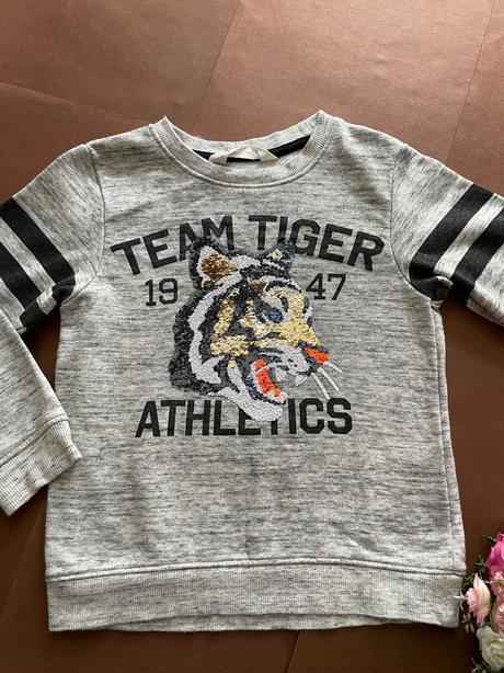 Mikina šedá - v.110-116, h&m,110