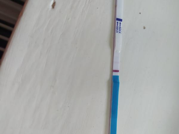 Může progesteron nebo estrofem ovlivnit těhu test?