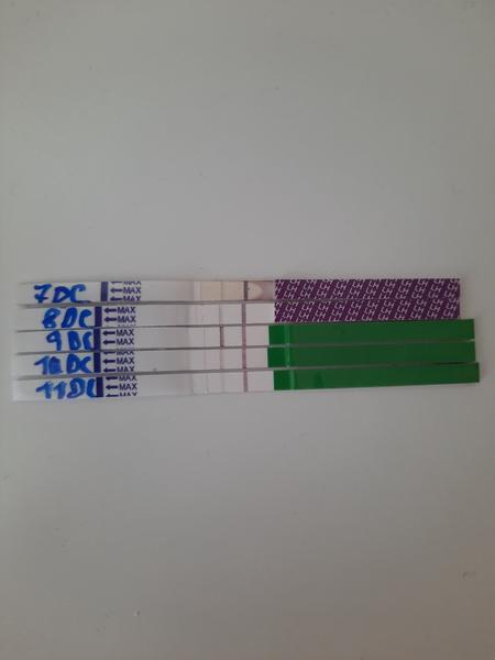 Kdy je pozitivní výsledek ovulačního testu normální?