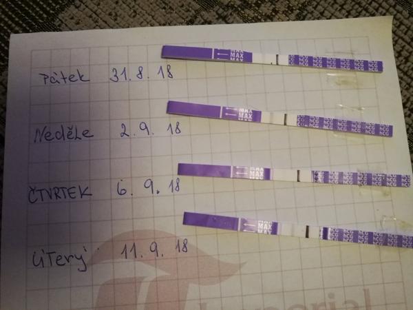 Je to zamlklé těhotenství?