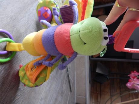 světluška fredie lamaze,