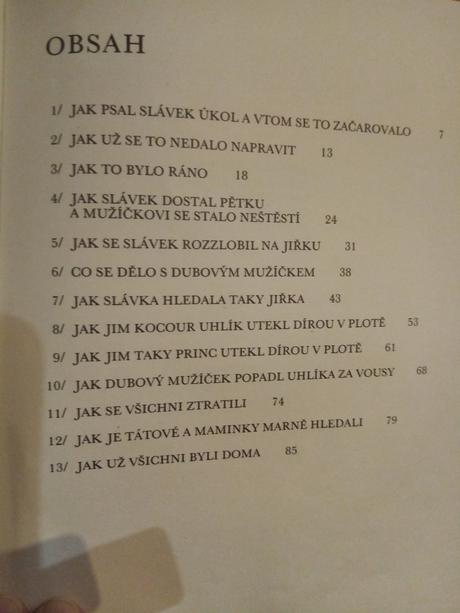 Knížka jak si slávěk načaroval dubového mužíčka, 