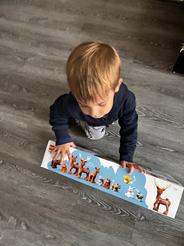 LEGO® DUPLO® Divoká zvířata Evropy