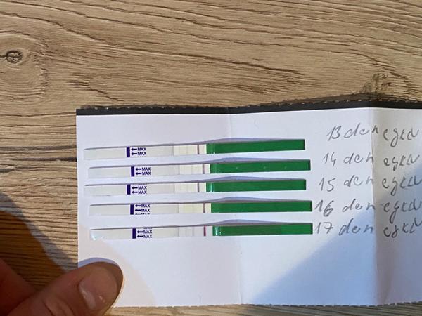 Hlídání ovulace. Co myslíte?