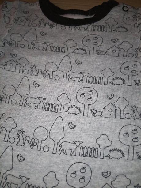 Body se zvířátky, 62