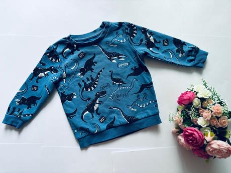 Mikina dino - v.18/23 měs, 92