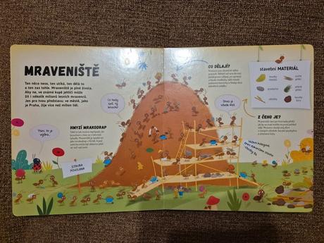 Dětská kniha - co se děje v mraveništi, 
