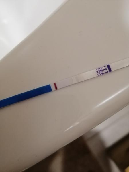 Těhu test. Bere se krev na hCG na lačno, nebo se můžu najíst?