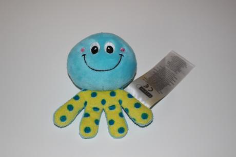 Pískací chobotnička, 