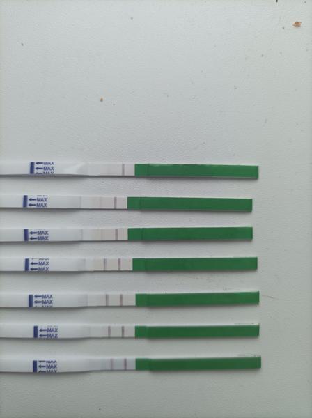 Byla už ovulace podle testu a teploty?