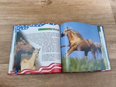 Kniha američtí koně snů,