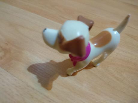 Pejsek k panence barbie,