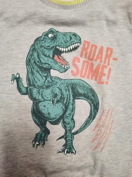 Teplá,hebka mikina dinosaurus 110/116, 116
