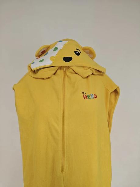 Pudsey bear,