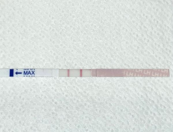 Kdy po revizi můžeme zkusit otěhotnět?