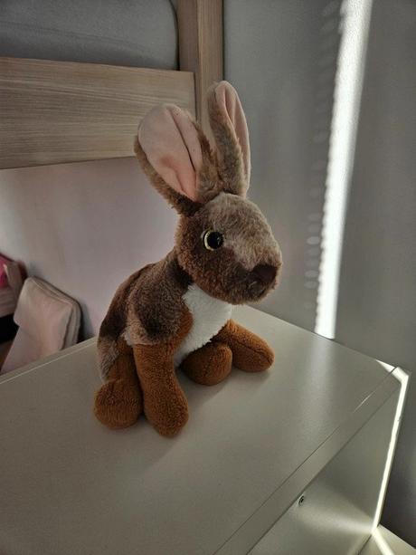 Plyšový zajíc, 