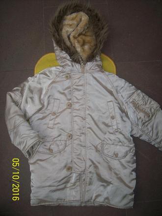 Zlatá bunda, ladybird,122