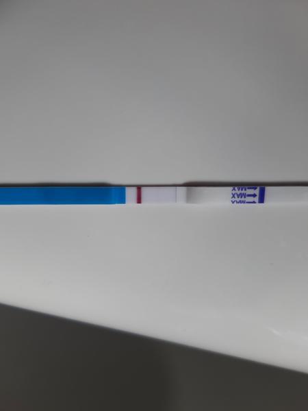 Dr. Max těhotenský test. Máte s ním zkušenost?